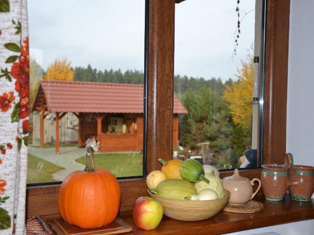 Zagajnik Holiday House Sucha Rzeczka Екстериор снимка